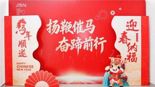 揚鞭催馬開新局，奮蹄前行譜華章——特力公司2025年度總結表彰大會圓滿舉行